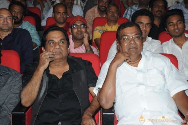 Yevadu Audio Launch Photos Set 5