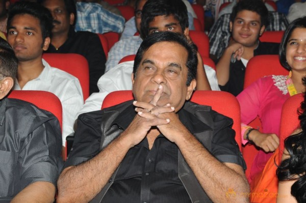 Yevadu Audio Launch Photos Set 5