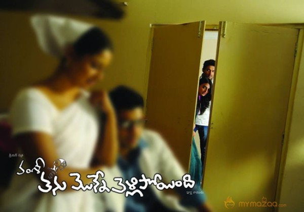 Vamsi's Tanu Monne Vellipoindi Movie First Look  