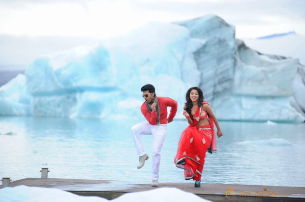 Naayak Movie Latest Gallery 