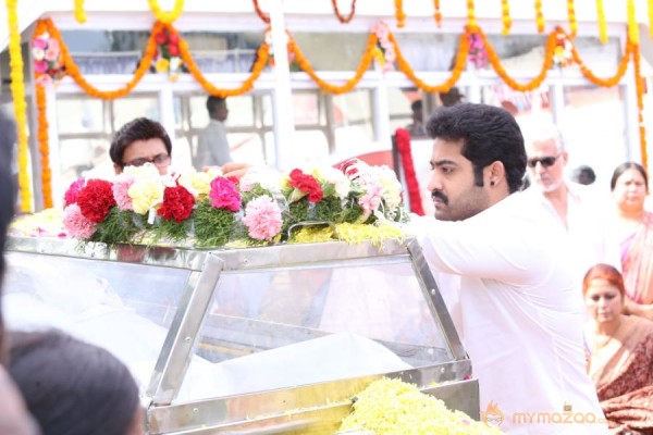 Celebrities pay homage to ANR Photos - 4 