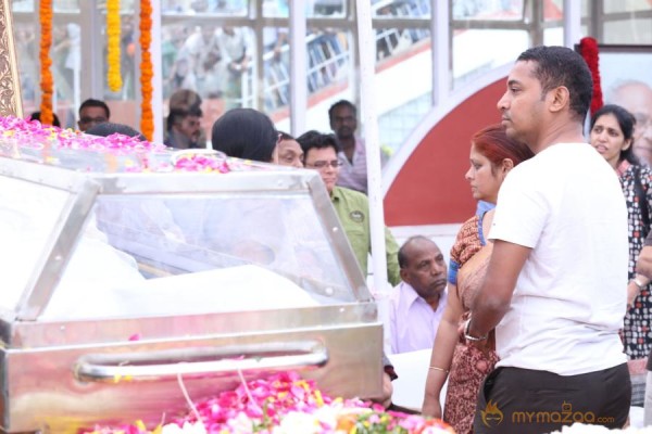 Celebrities pay homage to ANR Photos - 5 