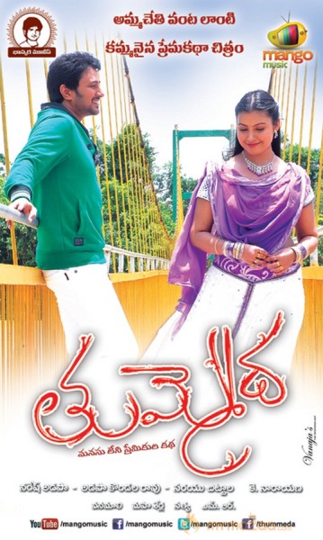 Tummeda Movie Wallpapers 