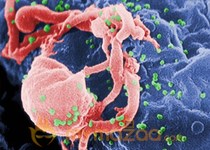 Russian to double spending on HIV care next year