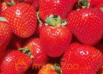 Strawberries can keep many diseases at bay 