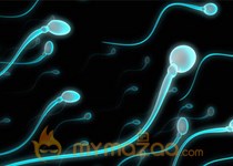 Utah sperm swap 'unacceptable' but still unexplained, docs say