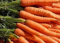 Carrots can help prevent  cancer 
