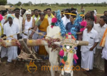 AP Minister caught ploughing Agricultural Land