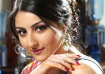 How Hero's Sister gave a befitting reply to Trolls?