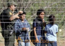 Unaccompanied minors swelling ranks of American gangs, say experts