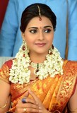 Manochitra