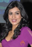 Pallavi Sharda
