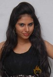 Pavana