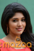 Samyukta Hornad