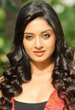 Vimala Raman