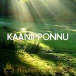 Kaanipponnu