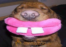 Big Smile