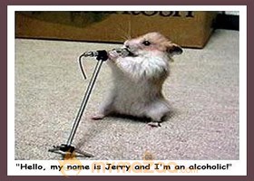 Cat's Concert