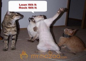 Cat's Party