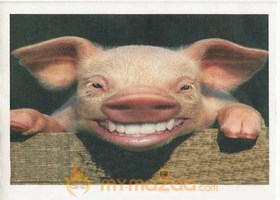 Cute Smile
