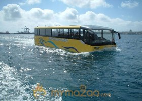 Floating Bus