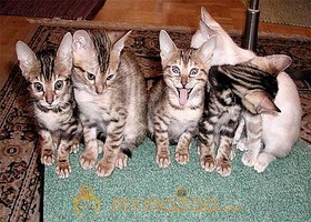 Friend's Group Photo
