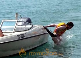 Funny Diving