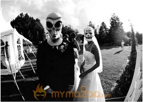 Halloween Marriage