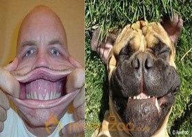 Human Vs Animal