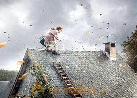 Lady Thief in the Wind