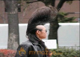 Nice Hair Style