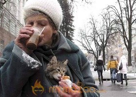 Pussy in the Coat