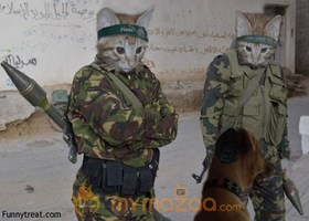 Ready To Fight
