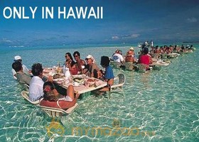 Sea Restaurent