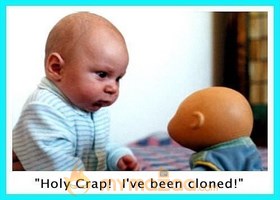 Shocking Kid