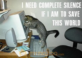 Sincere Worker