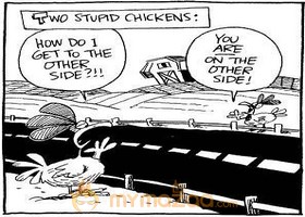 Two Stupid Chicken