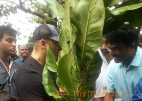 Salman Khan started BMC's 2 crore Tree Planting Initiative in Mumbai photo 7