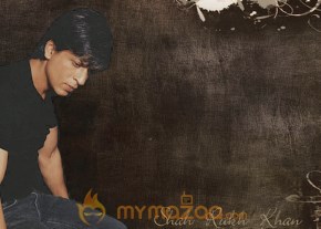 Shahrukh Khan Photo Gallery photo 8