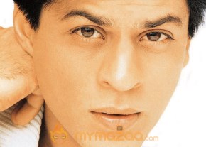 Shahrukh Khan Photo Gallery photo 22