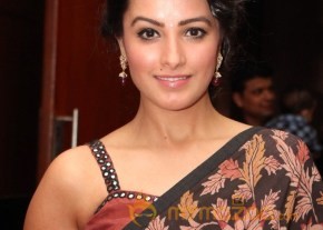 Anita Hassanandani Cute and Hot Pics photo 2