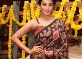 Anita Hassanandani Cute and Hot Pics photo 5
