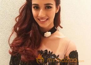 Disha Patani Hot & Sexy Bikini Latest Photos photo 22