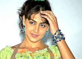 Cute genelia d souza Photo Gallery photo 545