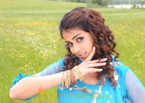 Cute genelia d souza Photo Gallery photo 424