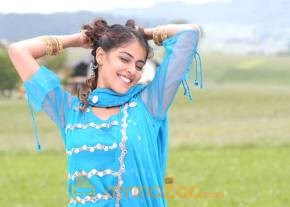 Cute genelia d souza Photo Gallery photo 294