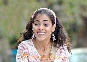Cute genelia d souza Photo Gallery photo 564