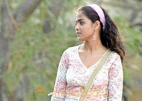 Cute genelia d souza Photo Gallery photo 387