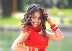 Cute genelia d souza Photo Gallery photo 491