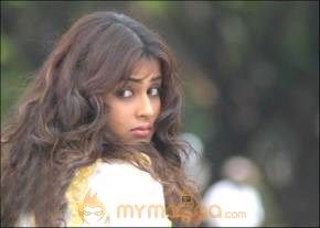 Cute genelia d souza Photo Gallery photo 62